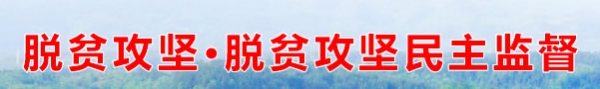 脱贫攻坚•脱贫攻坚民主监督